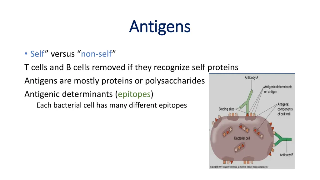 antigens antigens