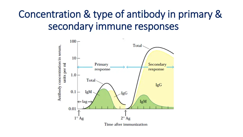 concentration type of antibody in primary