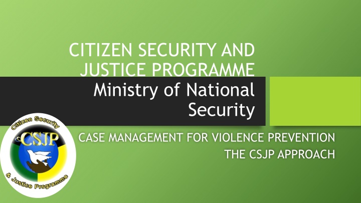 citizen security and justice programme ministry