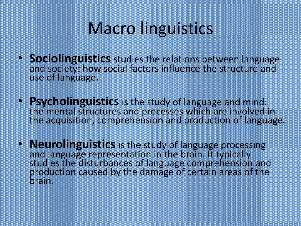 macro linguistics