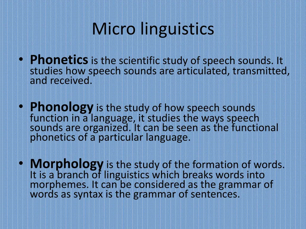 micro linguistics