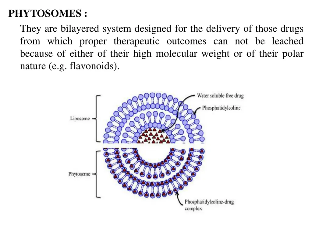 phytosomes they are bilayered system designed