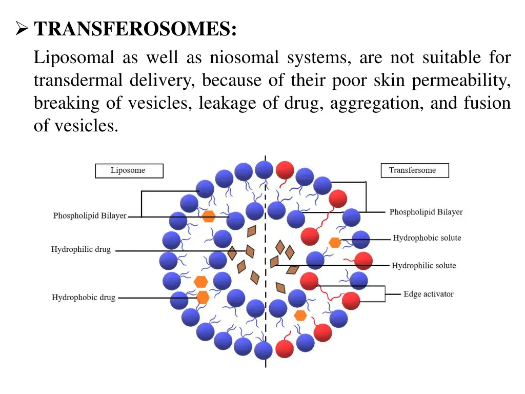 transferosomes liposomal as well as niosomal