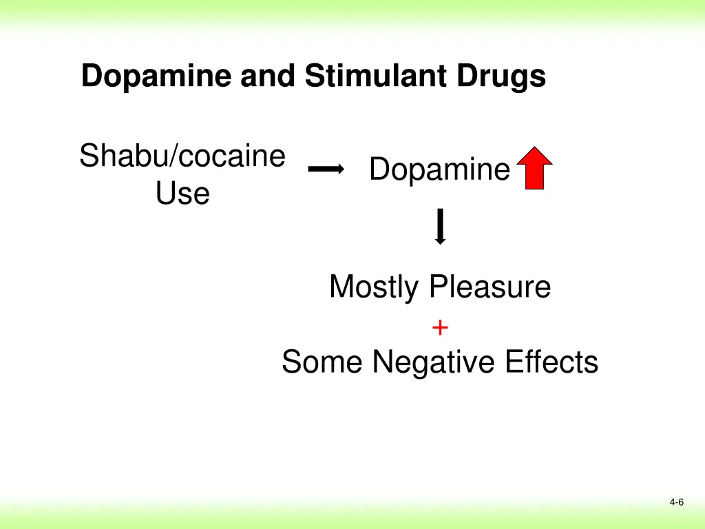 dopamine and stimulant drugs