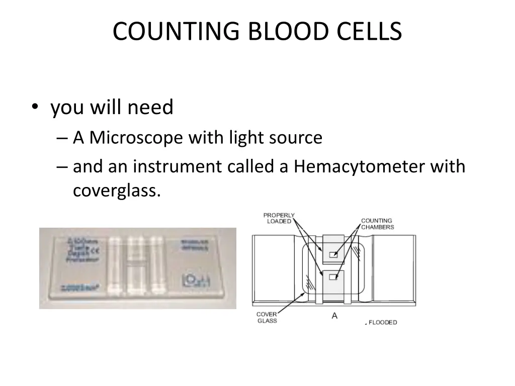 counting blood cells