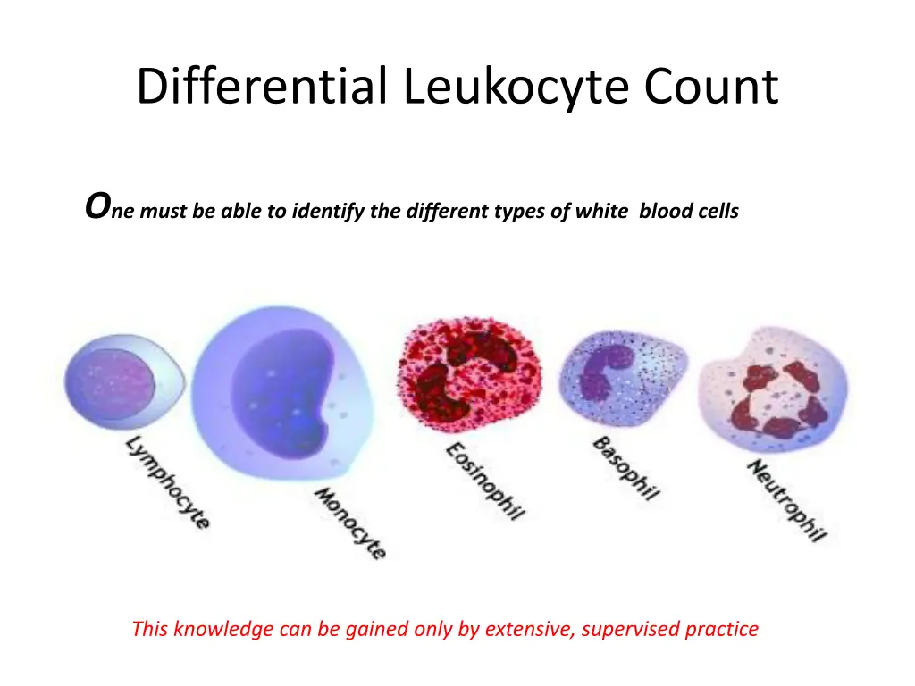 differential leukocyte count