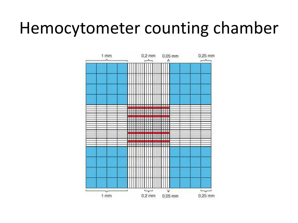 hemocytometer counting chamber