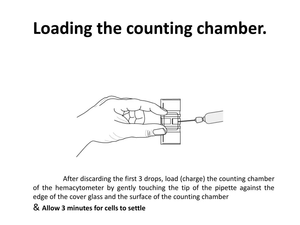 loading the counting chamber