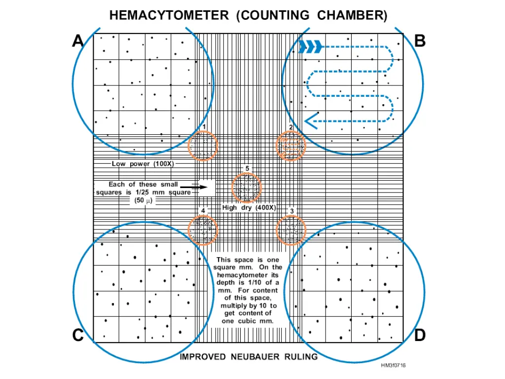 slide34