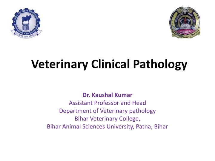 veterinary clinical pathology