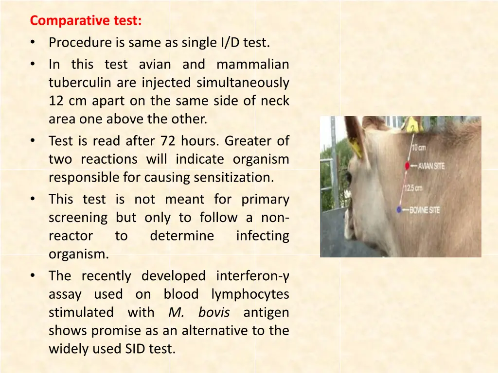 comparative test procedure is same as single