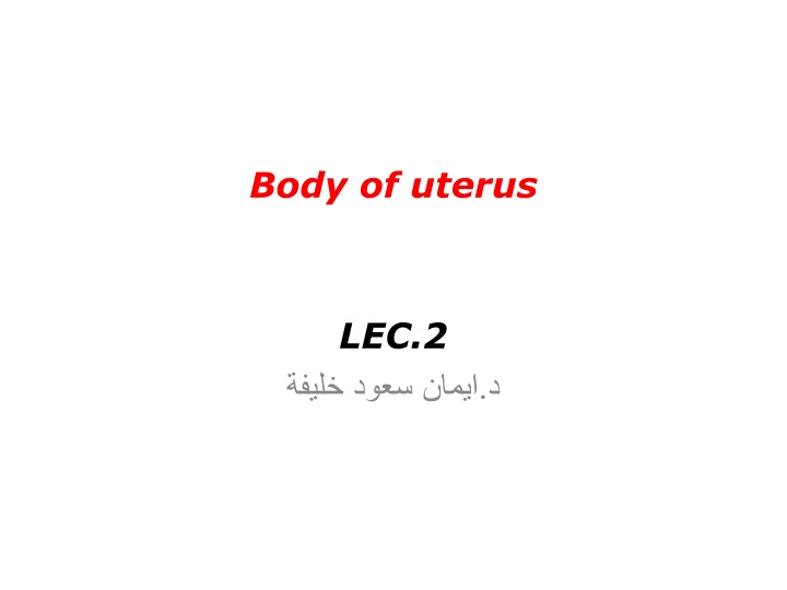 body of uterus