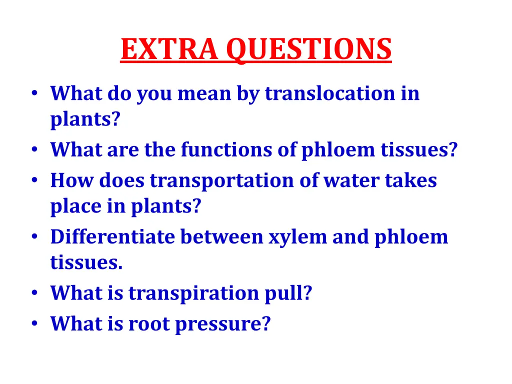 extra questions 2