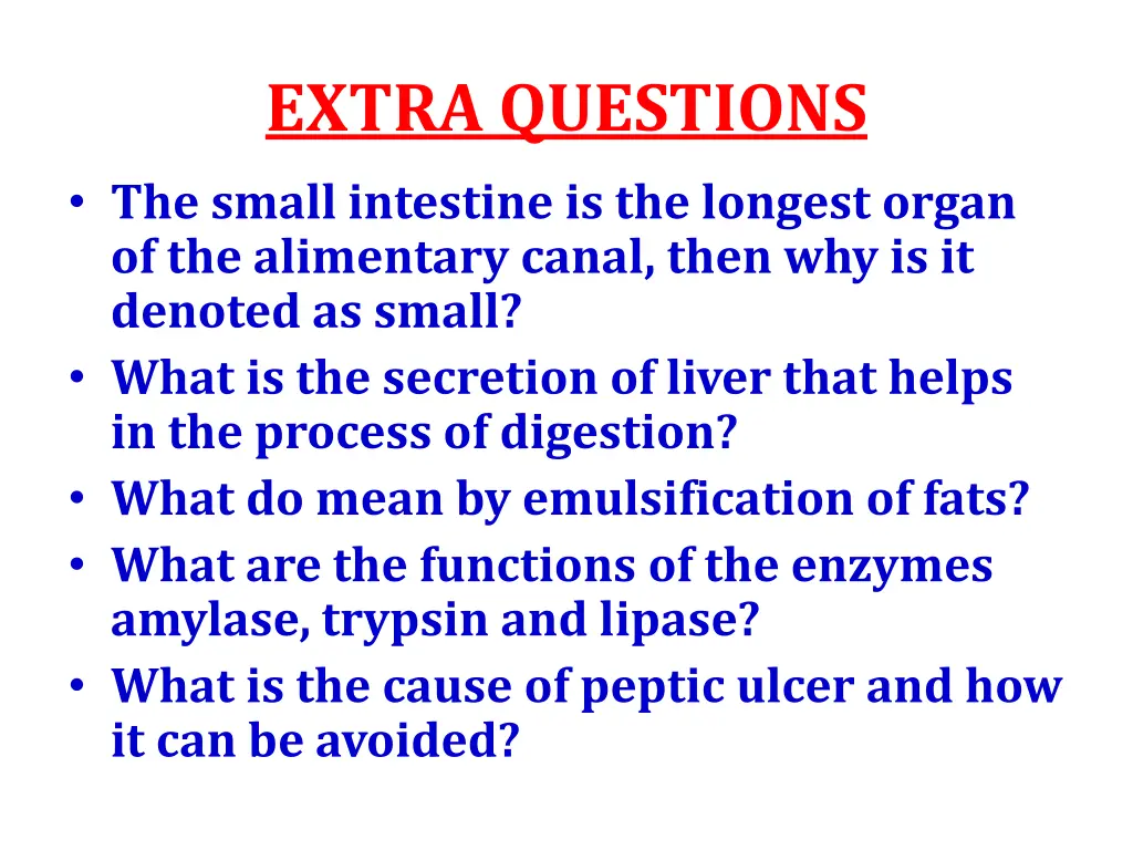 extra questions the small intestine