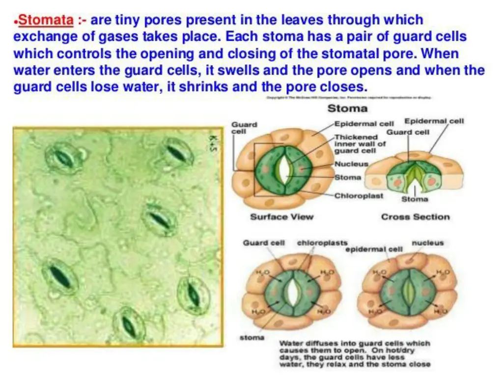 slide14