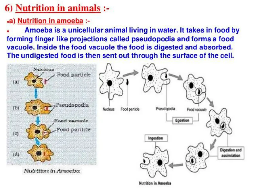 slide20