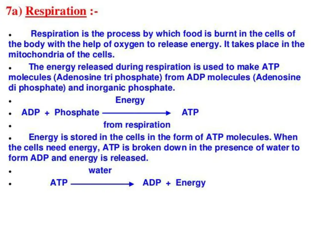 slide27