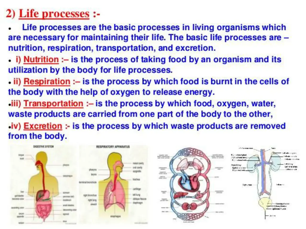 slide3