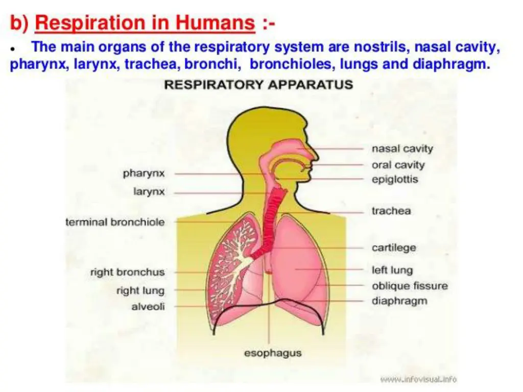 slide30