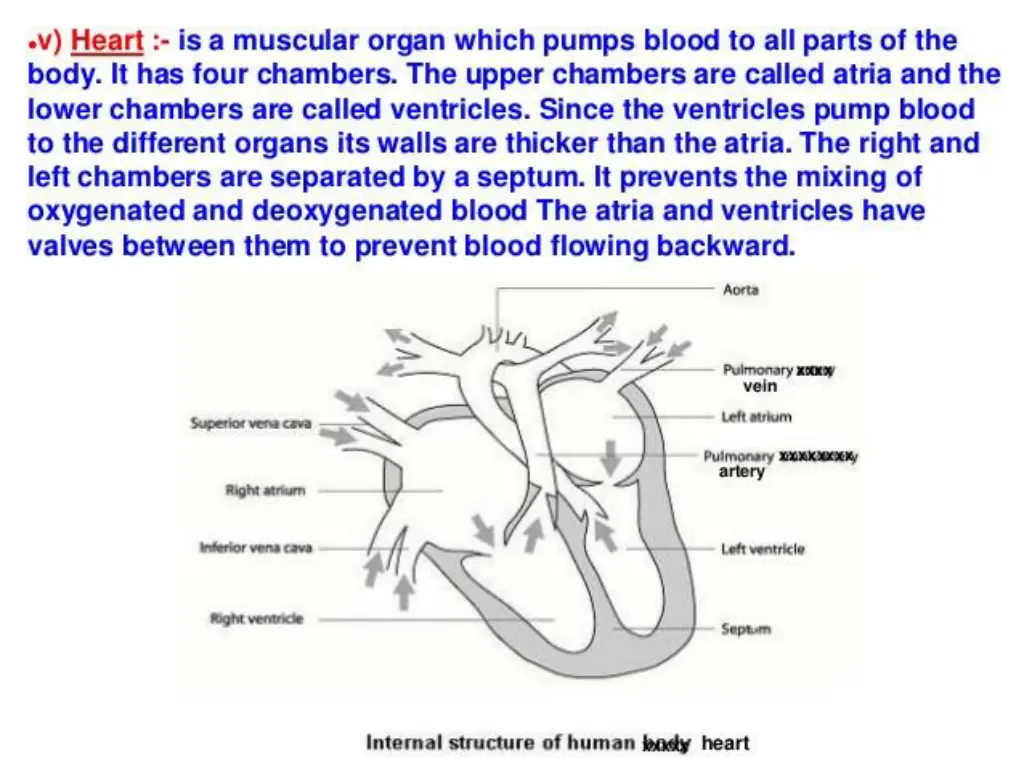 slide35