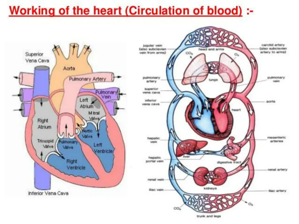 slide36