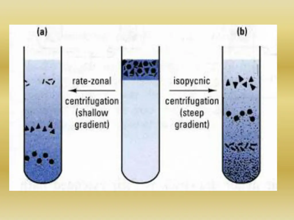 slide16