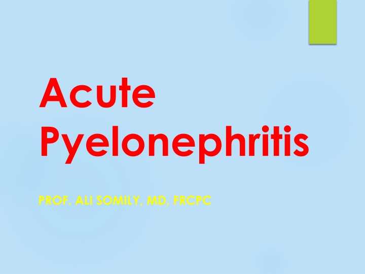 acute pyelonephritis