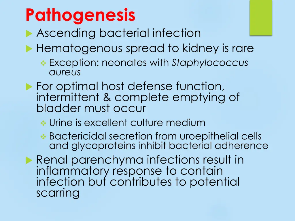 pathogenesis ascending bacterial infection