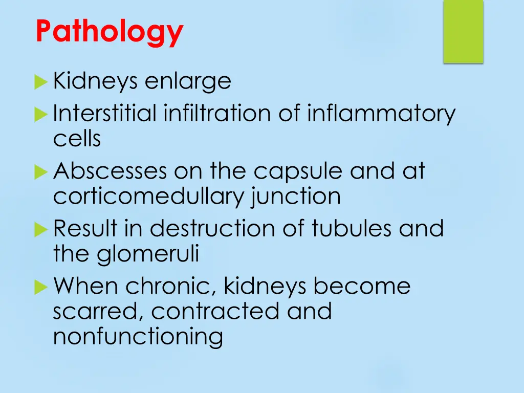 pathology