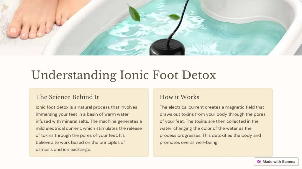 understanding ionic foot detox