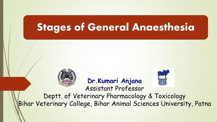 stages of general anaesthesia