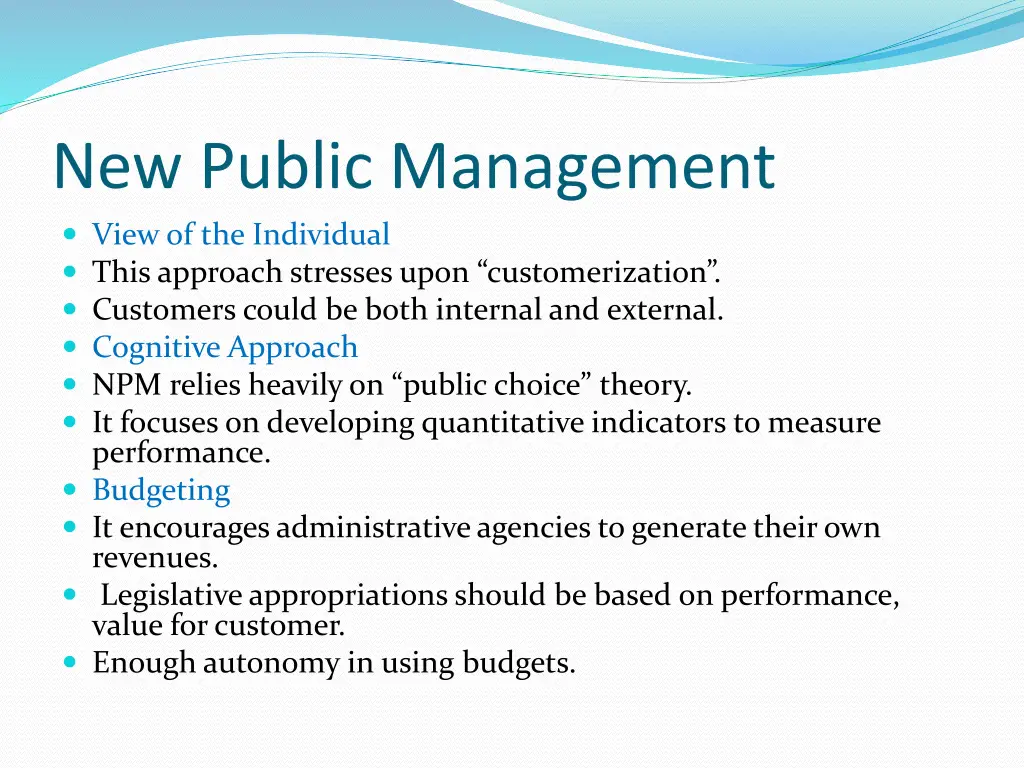 new public management view of the individual this