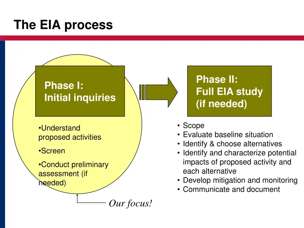 the eia process