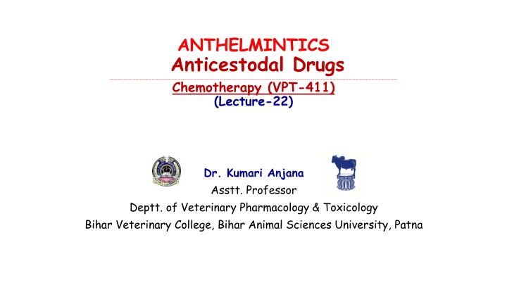 anthelmintics anticestodal drugs chemotherapy