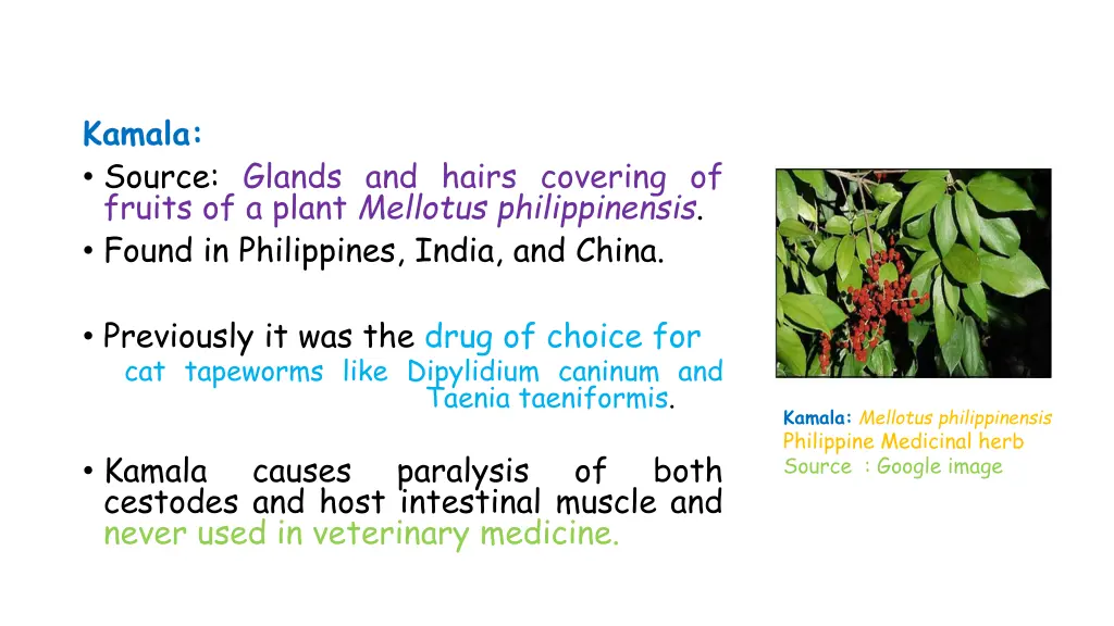 kamala source glands and hairs covering of fruits