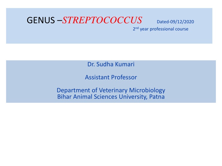 genus streptococcus dated 09 12 2020