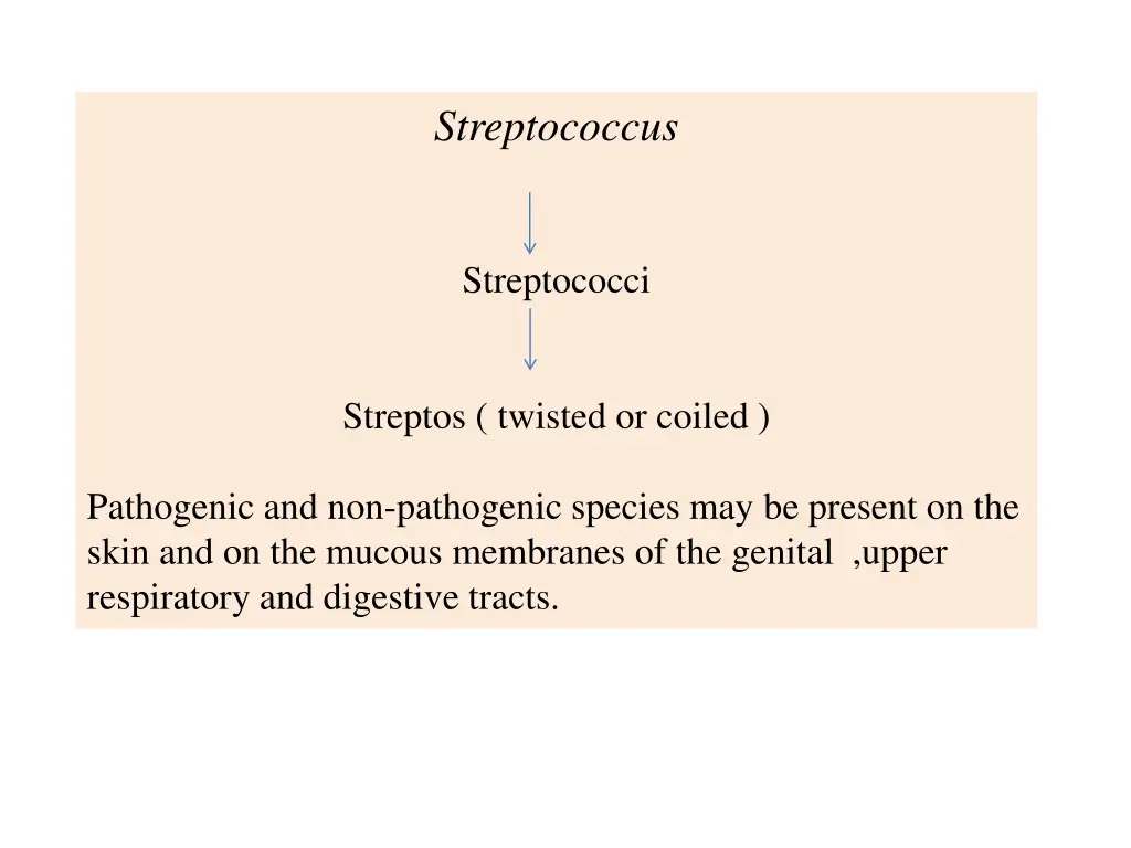 streptococcus