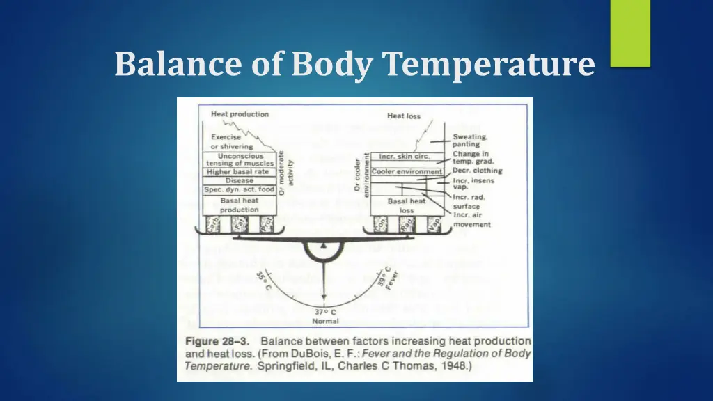 balance of body temperature