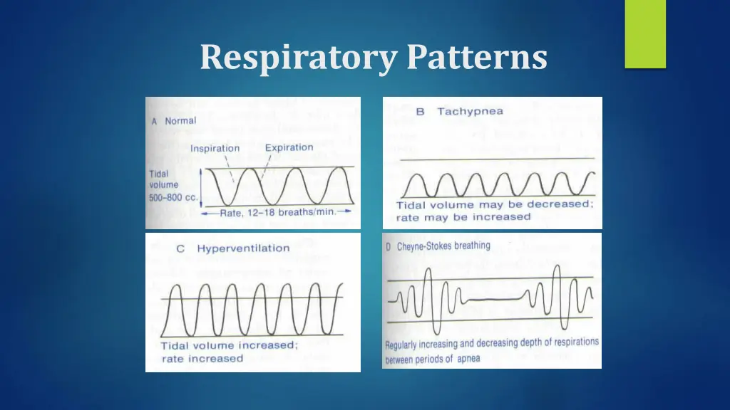 respiratory patterns