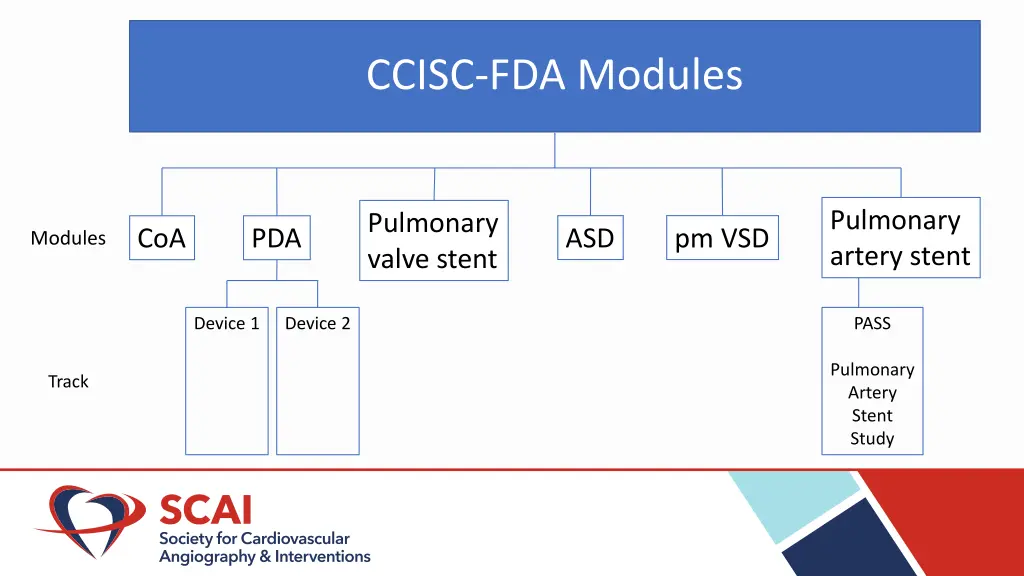 ccisc fda modules