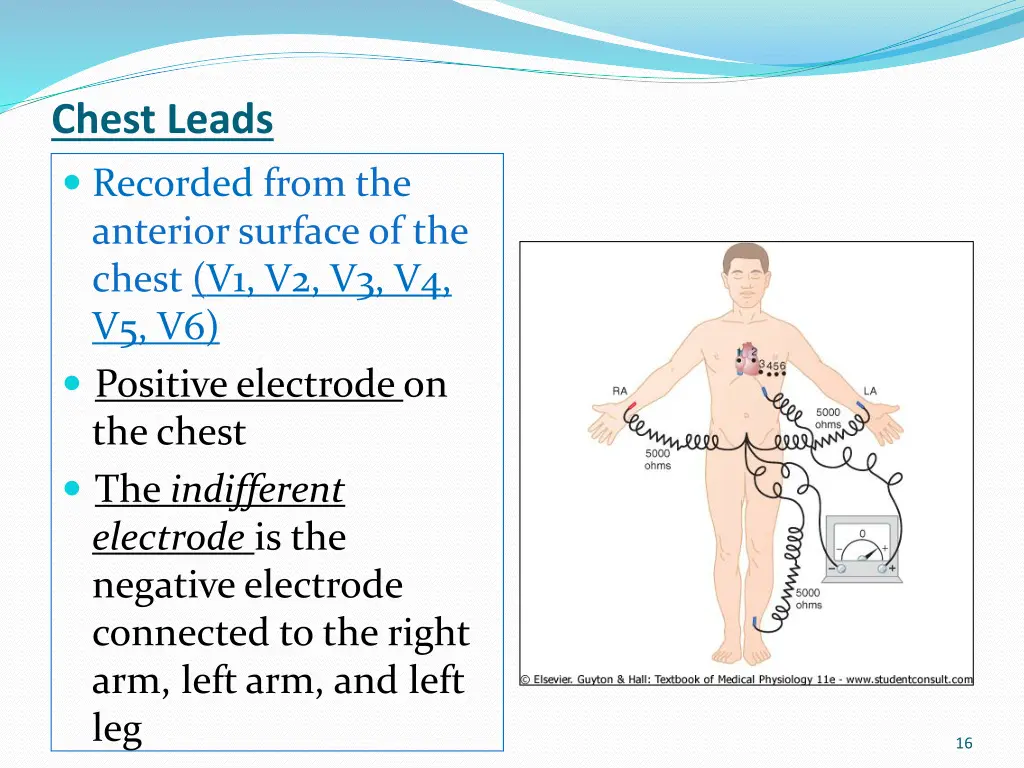 chest leads