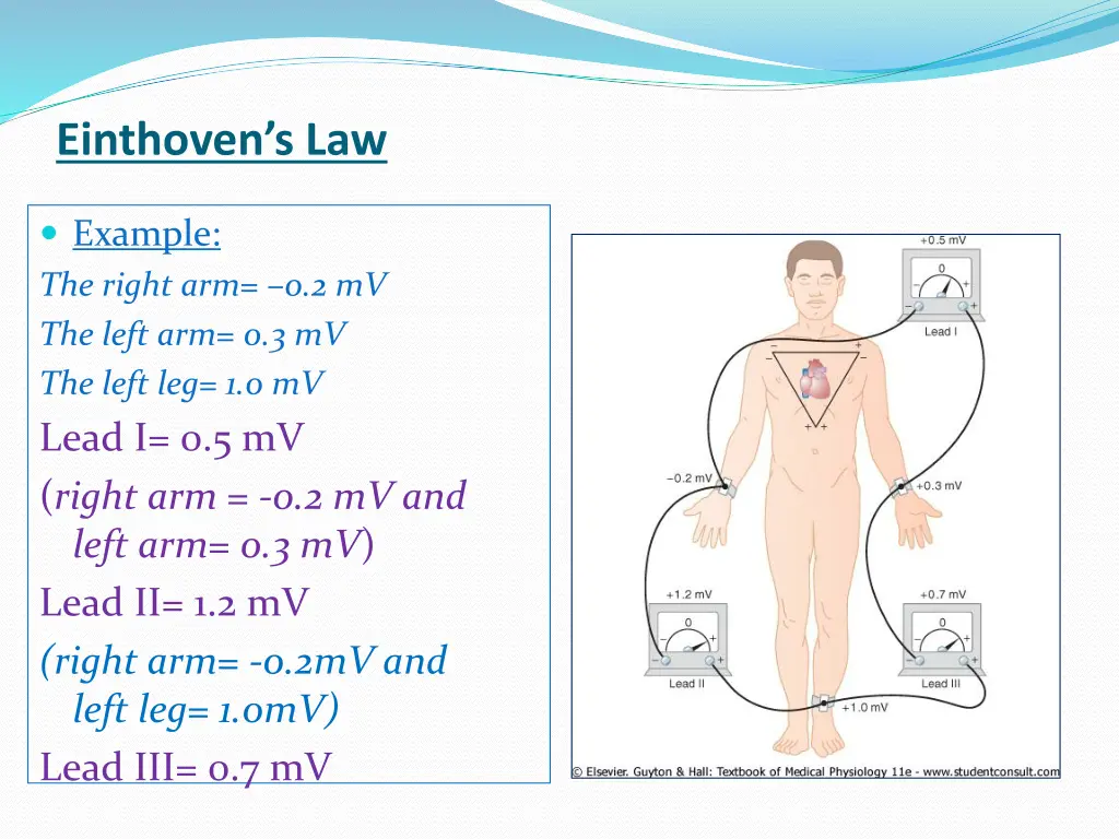 einthoven s law 1