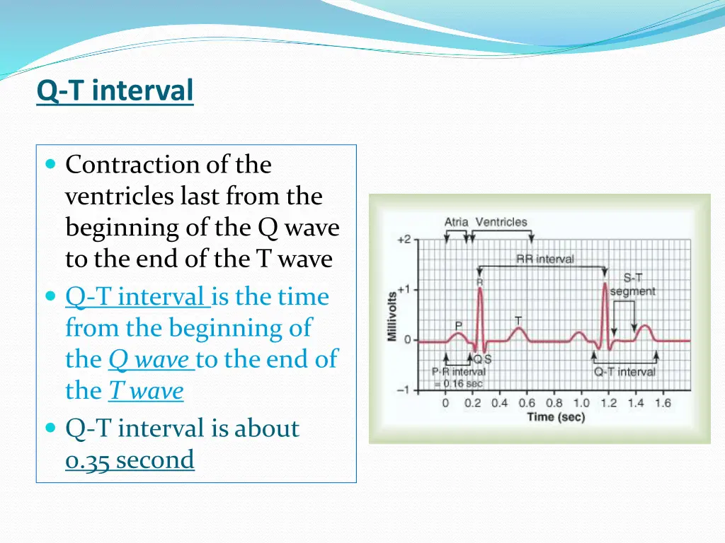 q t interval