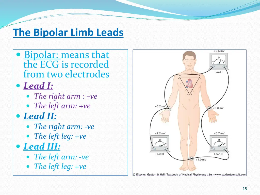 the bipolar limb leads