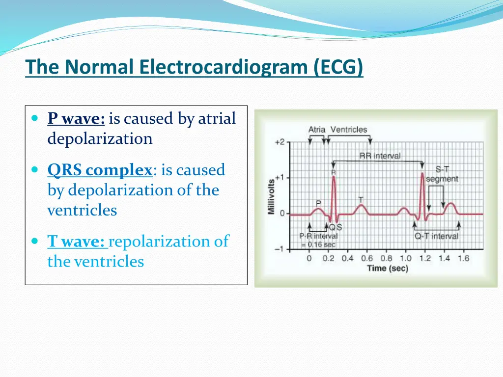 the normal electrocardiogram ecg 2