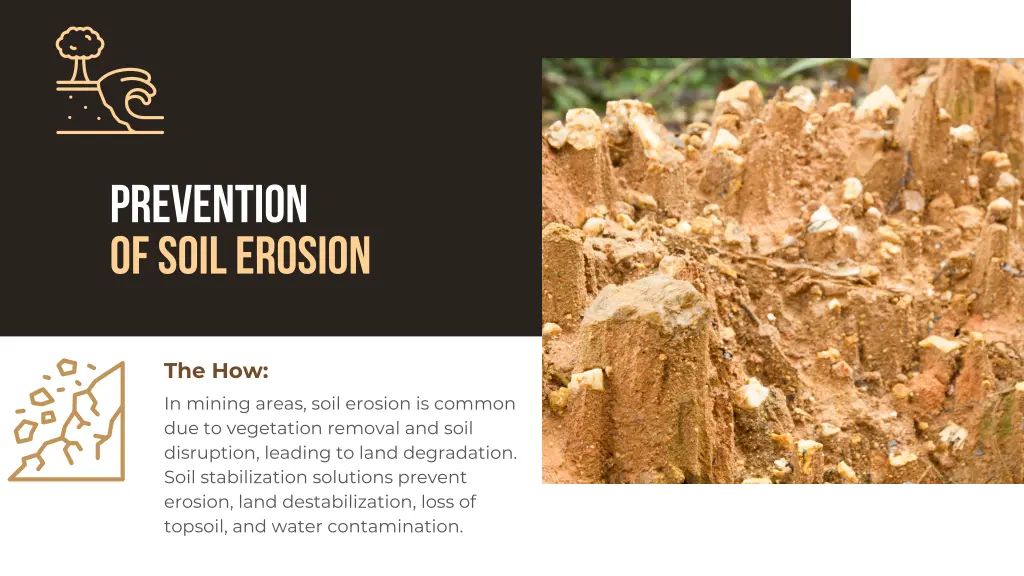 prevention of soil erosion