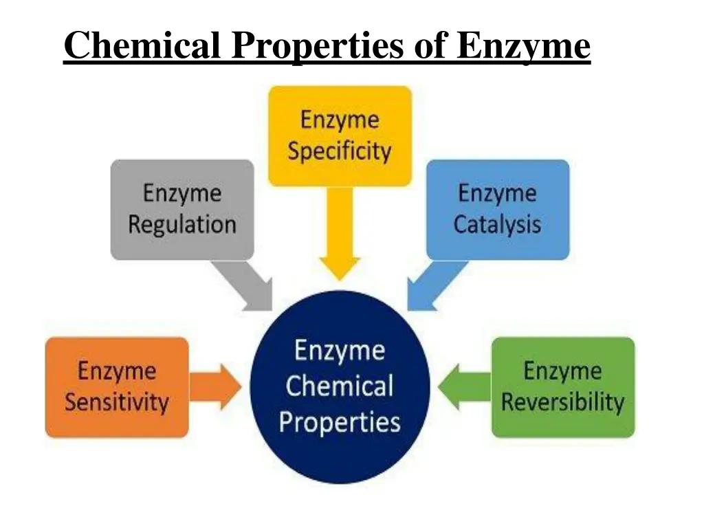 chemical properties of enzyme