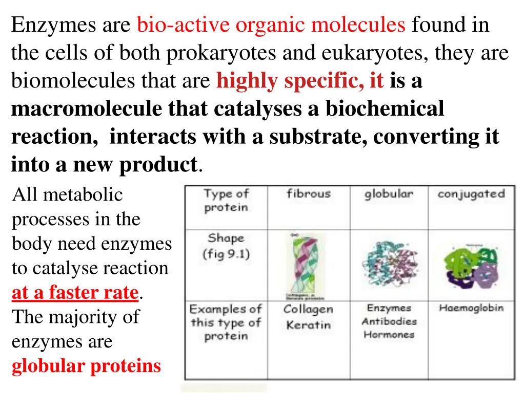 enzymes are bio active organic molecules found