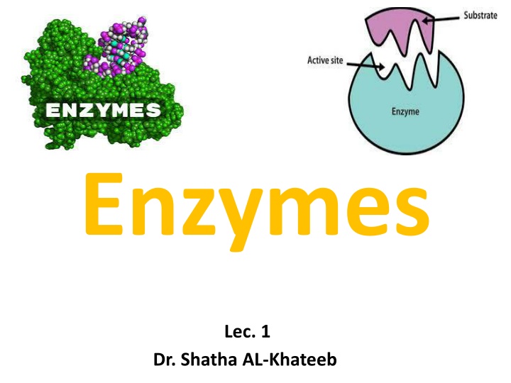 enzymes