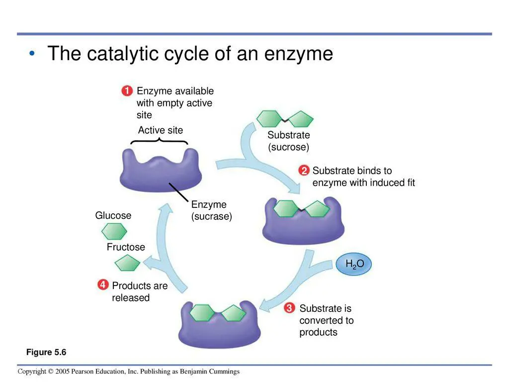 slide17